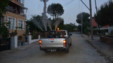 lapseki belediyesi sinek ve haserelere karsi ilaclama calismalarina basladi d4786c3 |