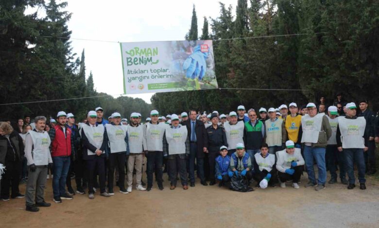 Ormanlık alanda temizlik yapıldı 1 ormanlik alanda temizlik yapildi 15ad542 |