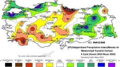ulkemizde 2024 yili nisan ayinda son 53 yilin sicaklik rekoru kirildi e45fcee |