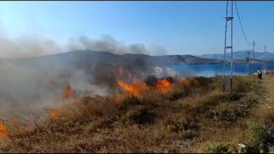 avsada arazi yangini yurekleri agiza getirdi ca3a1e3 |