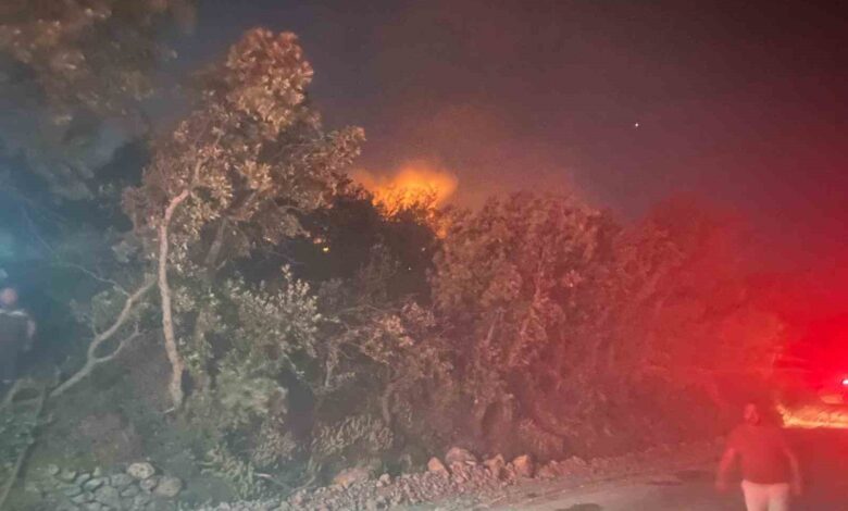 Ayvacık’ta orman yangını: 1 köy boşaltıldı 1 ayvacikta orman yangini 1 koy bosaltildi 7a7a5ec |