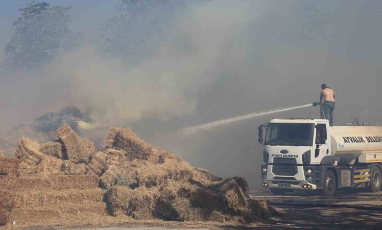 Ayvalık’ta çöp döküm alanında çıkan yangın otluk ve zeytinlik alana sıçradı 1 ayvalikta cop dokum alaninda cikan yangin otluk ve zeytinlik alana sicradi 94baaf3 |
