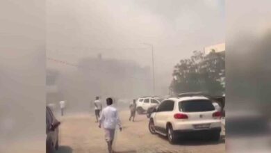 ayvalikta otluk alandaki yanginda dumanlar yerlesim yerlerini olumsuz etkiliyor 2a0880a |
