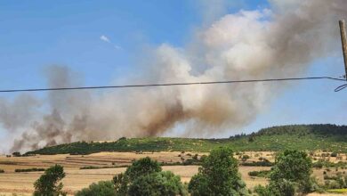 balikesirde makilik alandaki yangin ormana sicradi 21b2c69 |