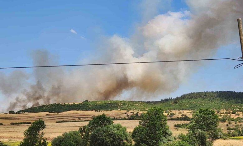 balikesirde makilik alandaki yangin ormana sicradi 21b2c69 |