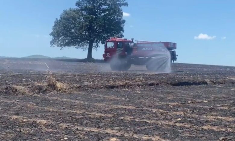 balikesirde tarla yangini 35 ton bugday kul oldu eceee76 |
