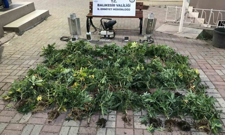 bandirmada kenevir ureten supheliler yakalandi 227532d |