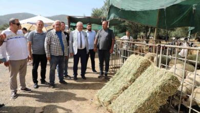 baskan ertas kurban bayrami dayanisma demektir 199ec2c |