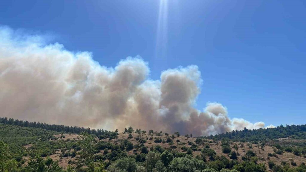 bigadicte aniz yangini cd308f1 |