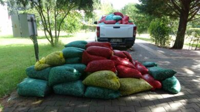canakkalede 3 ton kum sirlani ele gecirildi 6ecf8ca |