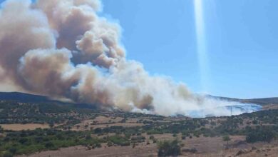 canakkalede coplukte baslayan yangin ormanlik alana sicradi 002963a |