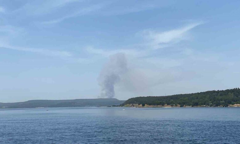 Çanakkale’de orman yangınına havadan ve karadan müdahale ediliyor 1 canakkalede orman yanginina havadan ve karadan mudahale ediliyor f452d3d |