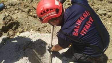 erdekte cukura dusen yavru domuzun imdadina itfaiye yetisti 36ecb9b |
