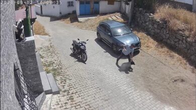 kopege siddet kamerada 08dd322 |
