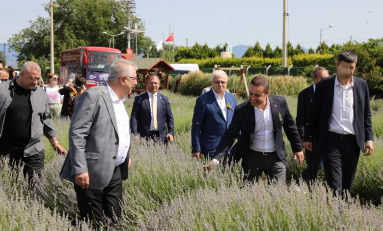 aromaterapi festivali 4 |