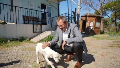 ayvalik belediye baskani mesut ergin yasalar oldurmek degil yasatmak icin cikarilir 96643cb |
