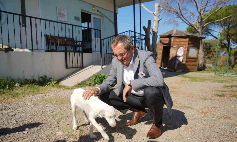 ayvalik belediye baskani mesut ergin yasalar oldurmek degil yasatmak icin cikarilir 96643cb |
