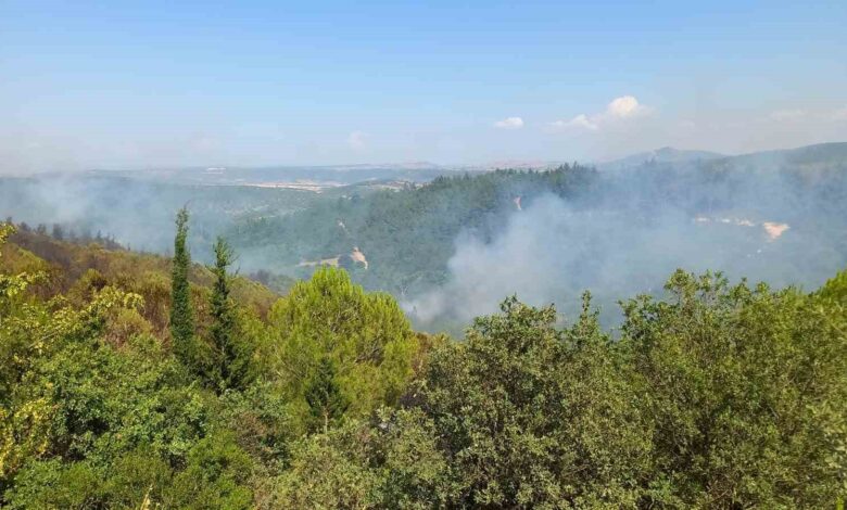 Balıkesir’deki orman yangınlarına müdahale sürüyor 1 balikesirdeki orman yanginlarina mudahale suruyor 4567e1b |