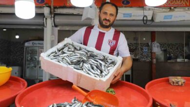 bandirmada sardalya bollugu yasaniyor 928fa4d |