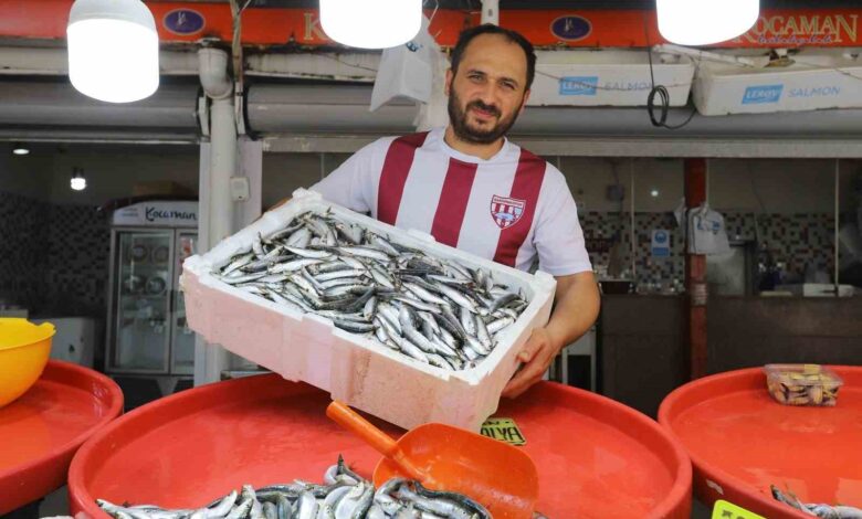 Bandırma’da sardalya bolluğu yaşanıyor 1 bandirmada sardalya bollugu yasaniyor 928fa4d |