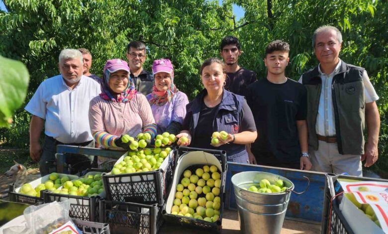 ’Bayramiç beyazı’nda 20 bin ton üretim bekleniyor 1 bayramic beyazinda 20 bin ton uretim bekleniyor 0680a69 |