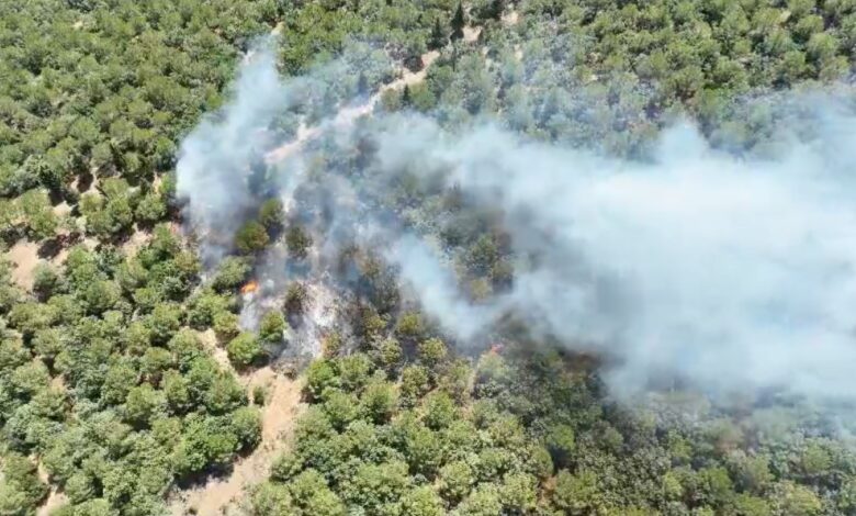 Bayramiç’te orman yangını 1 bayramicte orman yangini e04d92a |