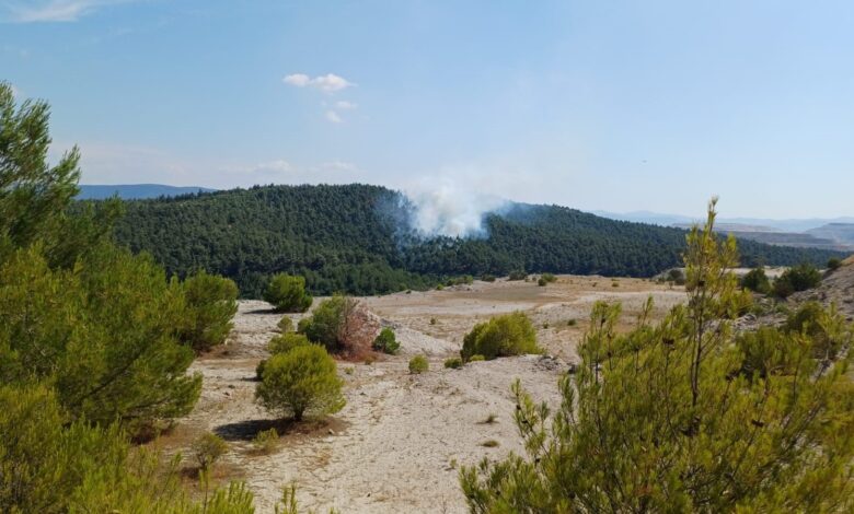 bigadicte orman yangini 846348a |