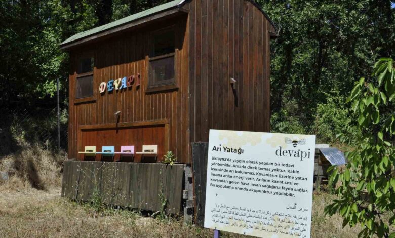 binlerce arinin uzerine yatan daha dinc kalkiyor 4e55c87 |