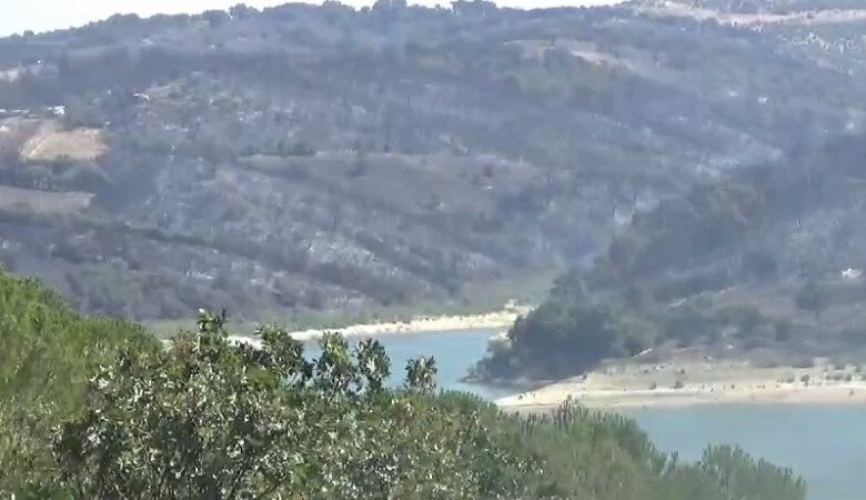 canakkalede orman yanginini kontrol altina alma calismalari suruyor 1335487 |