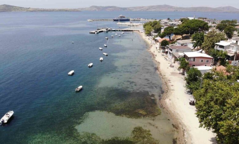 Devlet korumasındaki deniz çayırlarını söktüler 1 devlet korumasindaki deniz cayirlarini soktuler 653fea1 |