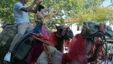 gelin ve damat deve uzerinde manyas turu yapti 8a09acc |