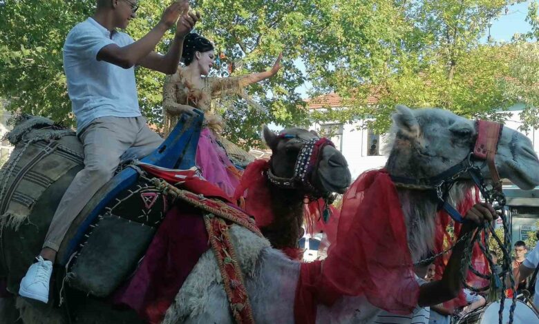 gelin ve damat deve uzerinde manyas turu yapti 8a09acc |