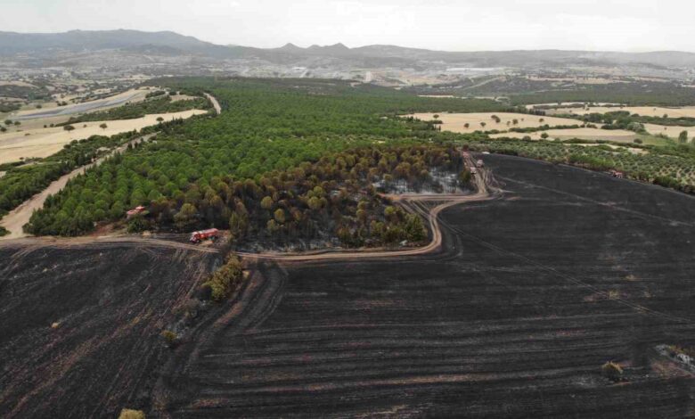 ozel canakkalede bir ayda 132 yangin 2 bin 625 futbol sahasi buyuklugunde orman yok oldu 78e27f5 |