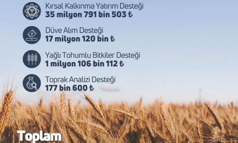 tarim ve orman bakanligi 1191 milyon liralik tarimsal destek odemesi hesaplara aktarildi e9a587b |