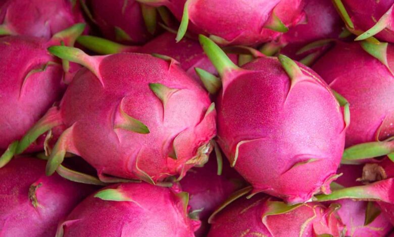 tropikal meyve ihracatinda hedef 25 milyon dolar 0a3d5b3 |