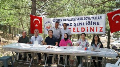 ulus dagi eteklerinde kiraz senligi d495052 |