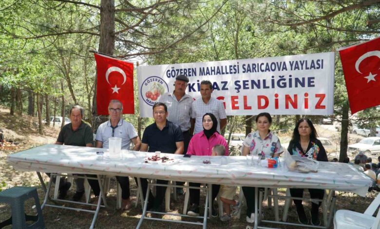 ulus dagi eteklerinde kiraz senligi d495052 |