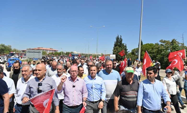 WhatsApp Image 2024 08 12 at 14.34.38 |