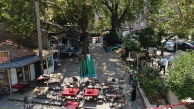 asirlik cinar agaci faciaya yol aciyordu bir catirti koptu kiyamet kopuyor sandik 59ad045 |
