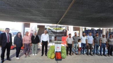 ayvacikta sera naylonu teslim toreni 6fbb107 |