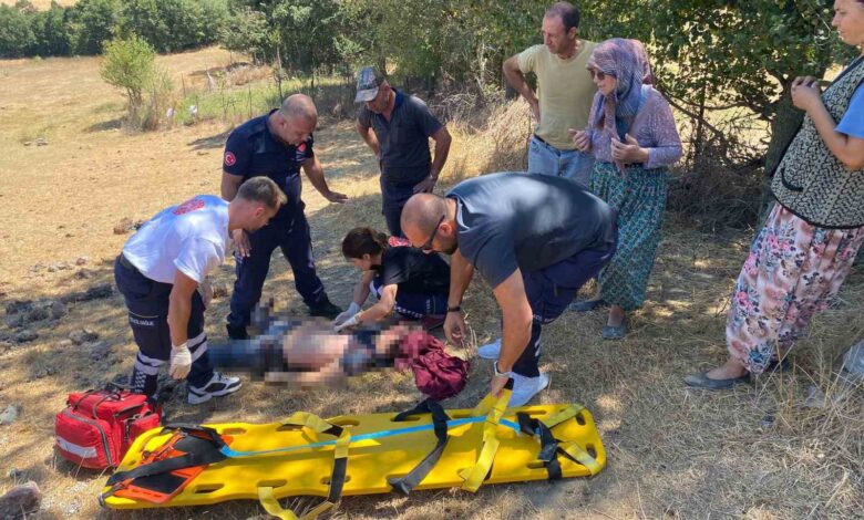 Balıkesir’de göçük altında kalan çiftçi hayatını kaybetti 1 balikesirde gocuk altinda kalan ciftci hayatini kaybetti a540cbc |