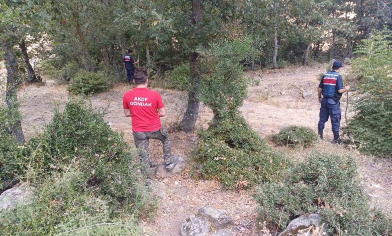 Balıkesir’de kaybolan kadın ortaya çıktı: Kendi isteğiyle saklanmış 1 balikesirde kaybolan kadin ortaya cikti kendi istegiyle saklanmis 5c29742 |