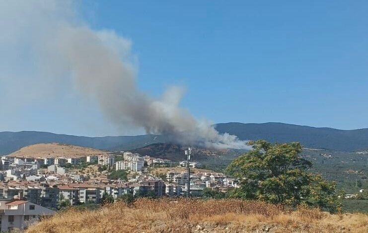 balikesirde orman yangini 6b956a6 |