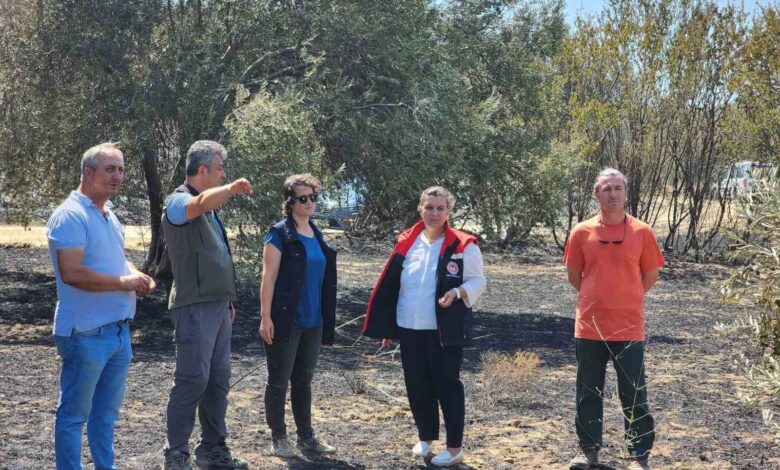 Çanakkale’de orman yangının ardından hasar tespit çalışmaları başladı 1 canakkalede orman yanginin ardindan hasar tespit calismalari basladi 7d1d979 |