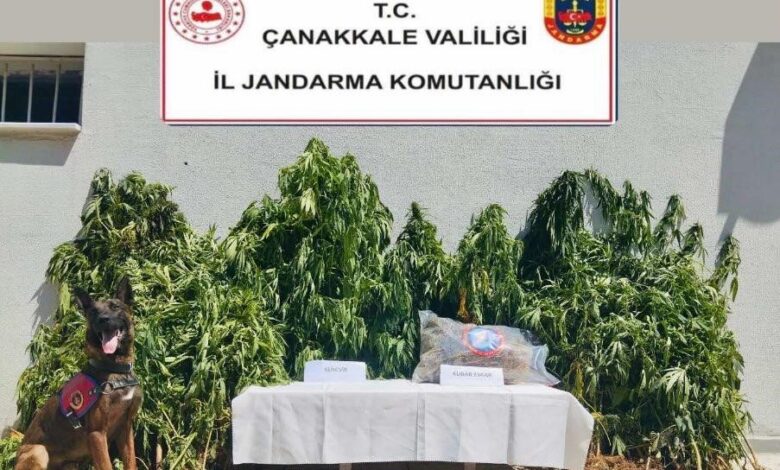 canakkalede uyusturucu operasyonu f23d6a8 |