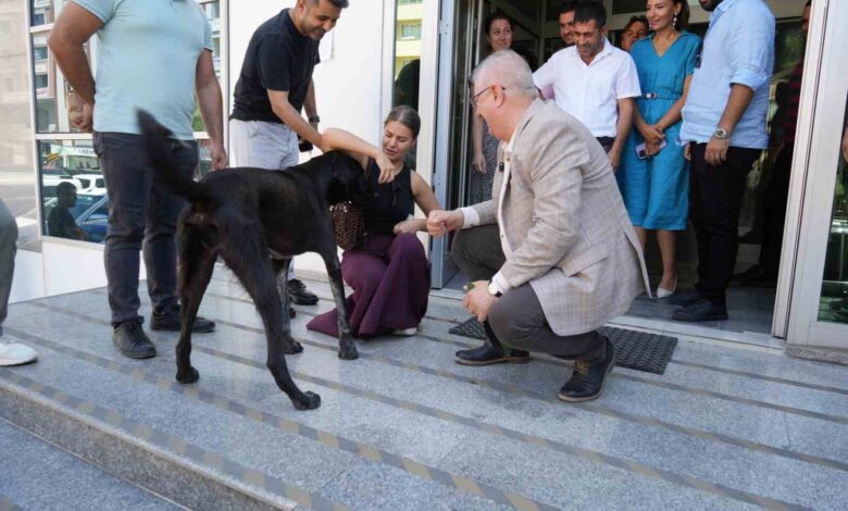 edremit belediye baskani ertas sahipsiz kopegi sahiplendi 5079354 |