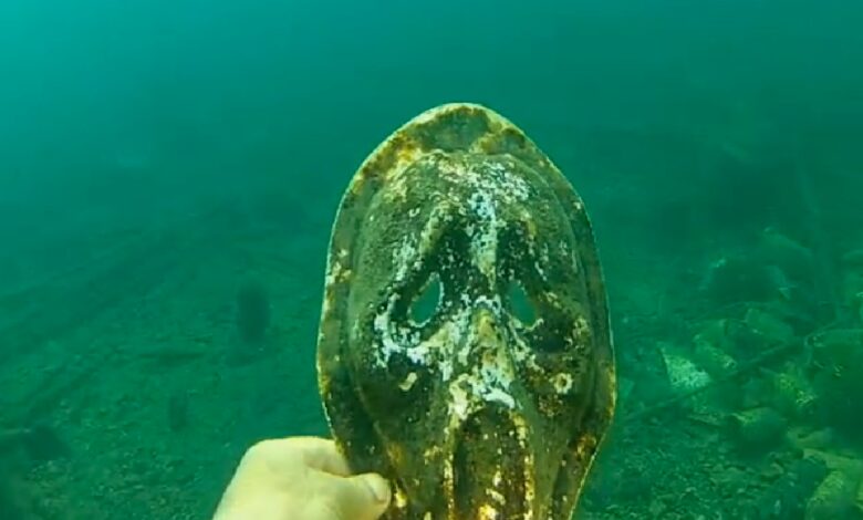 erdekte su alti goruntuleri denizin kirliligini gozler onune serdi bfa379f |