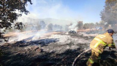 havranda traktor romorkunda baslayan yangin makilik alana sicradi d07f20b |