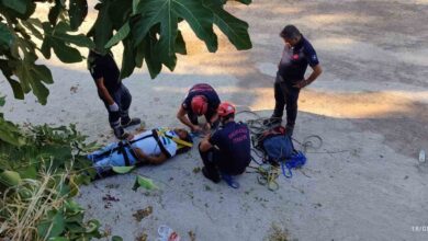 incir toplarken agactan duserek yaralandi a7b5dc7 |
