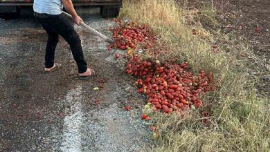 izmirdeki yangini sonduren itfaiye erleri manisada yola sacilan domatesleri temizledi c8838f4 |